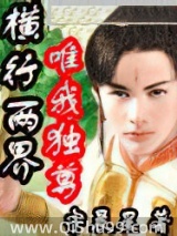 横行两界唯我独尊小说