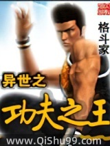 异世之功夫之王小说