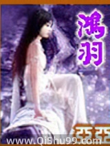 鸿羽小说