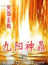 九阳神鼎小说