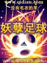 妖孽足球小说