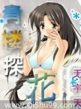 青楼探花小说