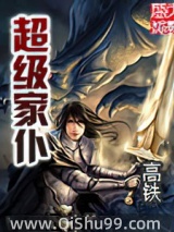 超级家仆小说