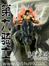 第九骑士小说