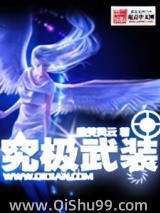 究极武装小说