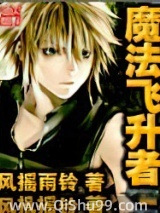 魔法飞升者小说