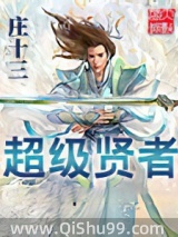 超级贤者小说