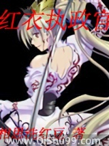 红衣执政官小说