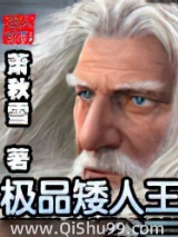 极品矮人王小说