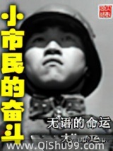 小市民的奋斗小说