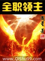 全职领主小说
