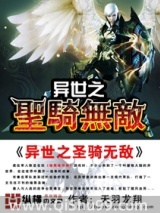 异世之圣骑无敌小说