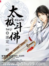 太极斗佛小说