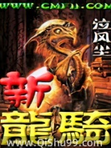 新龙骑小说