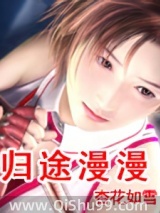 归途漫漫小说