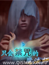只会禁咒的魔法师小说
