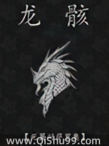 龙骸小说