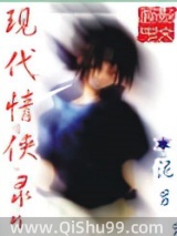 现代情侠录小说