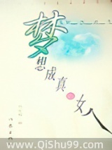 梦想成真小说
