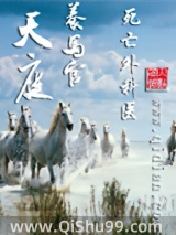 天庭养马官小说