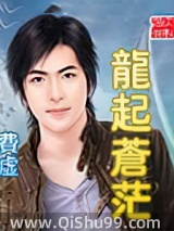 龙起苍茫小说