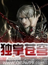 独掌苍穹小说