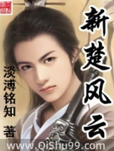 新楚风云小说