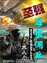 至强海狼佣兵小说