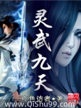 灵武九天小说
