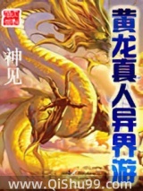 黄龙真人异界游小说