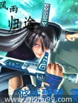 风雨归途小说