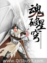 魂破星穹小说