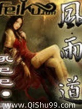 风雨道小说
