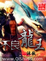不良龙王小说