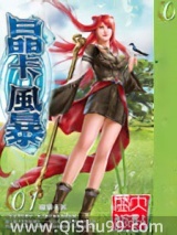 晶卡风暴小说