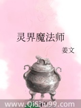 灵界魔法师小说