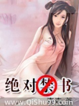 绝对禁书小说