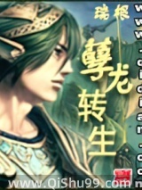 孽龙转生小说
