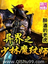 异界之少林魔纹师小说