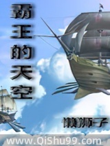 霸王的天空小说