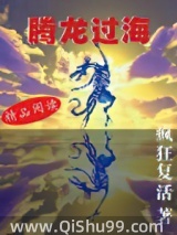 腾龙过海小说