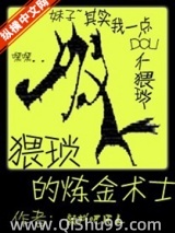 猥琐的炼金术士小说