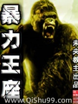 暴力王座小说