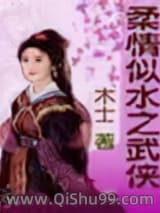 柔情似水之武侠小说