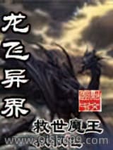 龙飞异界小说