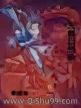 天魔幻想录小说