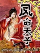 凤命天子小说