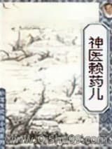 神医赖药儿小说