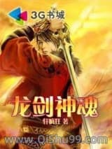 龙剑神魂小说