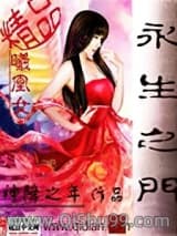 永生之门小说